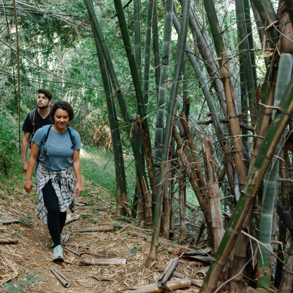 AOI-The Impact of Physical Therapy on Quality of Life 5 hiking